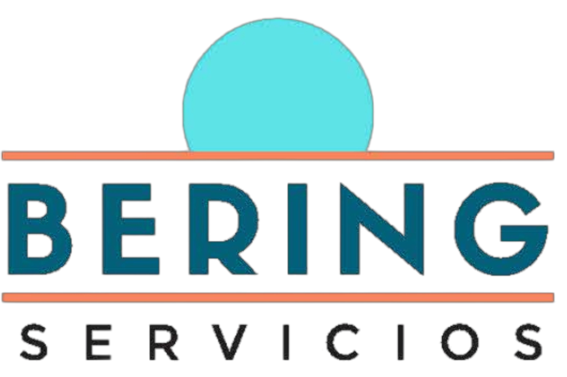 HB services logo